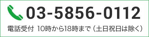 電話番号 03-5856-0112