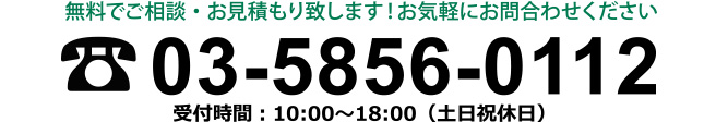 電話番号 03-5856-0112